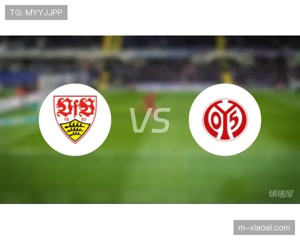 美因茨核心中场阿米里因内收肌伤势退出国家队，本轮联赛可能缺阵